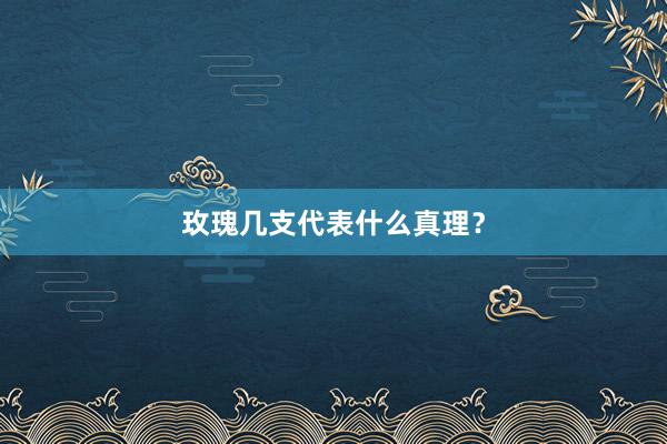 玫瑰几支代表什么真理？